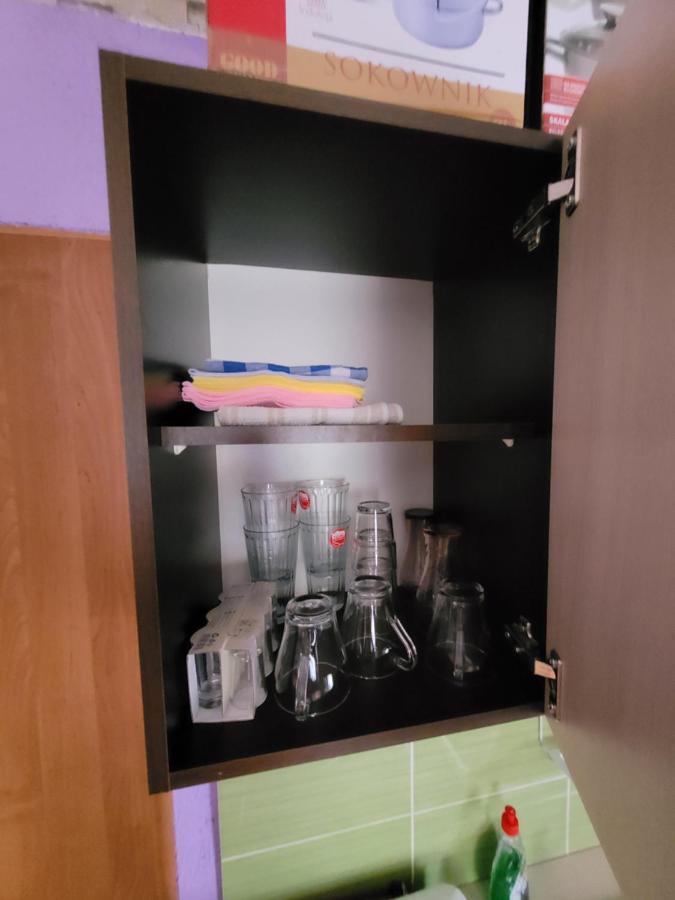 Wiejski Relax Pod "Zelaznym Szlakiem" Jastrzębie Zdrój Buitenkant foto